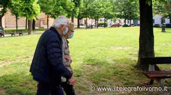 Tagliata l'erba nei giardini di piazza Magenta - IL TELEGRAFO Livorno