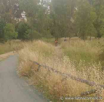 Taglio erba a Latina, Miele: “Dopo 4 anni ancora non garantito sfalcio puntuale” - LatinaCorriere