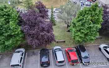 FOTO | Colleatterrato, sfalcio d'erba e pulizia: ci pensano i cittadini - ekuonews.it