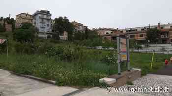 JESI / Parco del Vallato, i residenti: «Erba altissima e siringhe - QDM Notizie