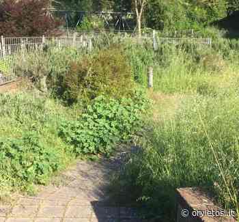 Ripreso sfalcio erba centro storico e frazioni - OrvietoSì