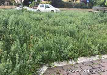 Manutenzioni, taglio dell'erba nel centro storico e nelle frazioni - OrvietoNews.it