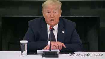 Dr. Nesheiwat says it is 'smart' for Trump to preventatively take hydroxychloroquine