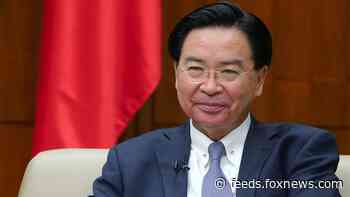 WHO's exclusion of Taiwan from coronavirus assembly leads more nations to sound the alarm