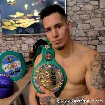 Walter Matthysse Jr. firmó con Sampson Boxing y Tello Box - El Patagónico