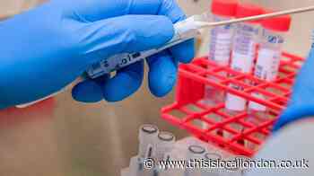 Oxford University vaccine: How is it being trialed and will it be ready by autumn?