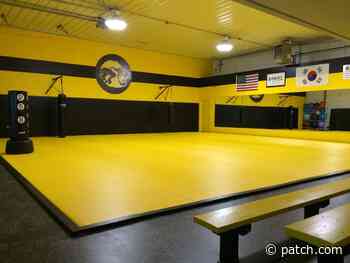 New Lenox Martial Arts Studio Trains Students Virtually - Patch.com