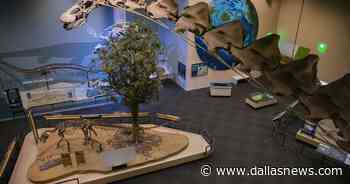 We can't let coronavirus wreck Dallas' arts and culture scene - The Dallas Morning News