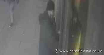 Police searching for man who pulled schoolgirl's hair