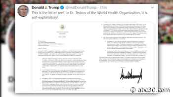 World Health Organization agrees to independent investigation as Trump considers pulling US funding