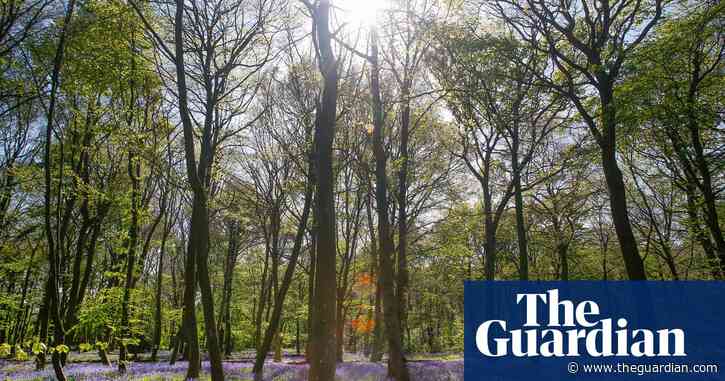 ‘In crisis’ Natural England granted £15m additional funding