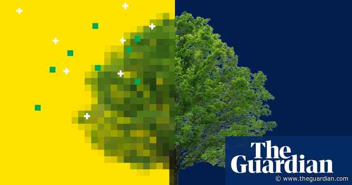 Can renewed interest in nature bring more funds to UK wildlife?