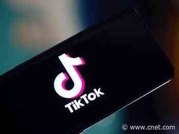 TikTok's new CEO is a top Disney exec who launched Disney Plus     - CNET