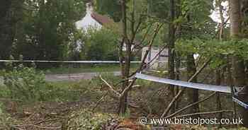 Trial date set after remains of woman found in two suitcases