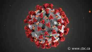 COVID-19: Dr. Wong answers common questions