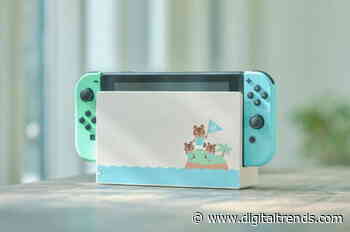 The best Animal Crossing-themed Switch accessories