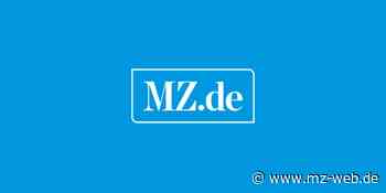 Rotluchsweibchen bringt ihr Junges im Außengehege vom Zoo Aschersleben zur Welt: Normalerweise sind Luchse äußerst scheu - Mitteldeutsche Zeitung