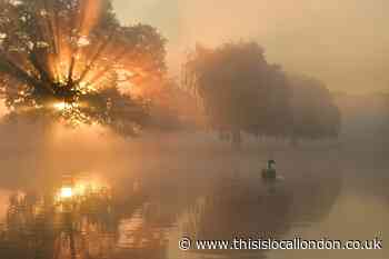 Photographer shares stunning photos of Royal Parks