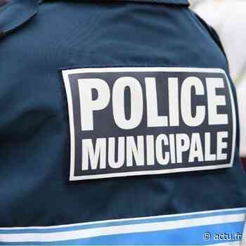 Seine-et-Marne. Un policier municipal de Lognes décède dans l'exercice de ses fonctions - actu.fr