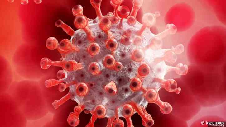 Arizona records more than 14,500 coronavirus cases, 704 deaths