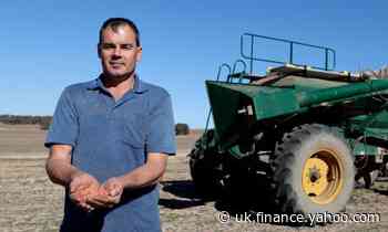 Why has China slapped tariffs on Australian barley and what can Australia do about it?