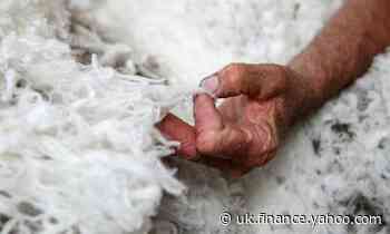 Australian wool producers 'particularly exposed' if trade tensions with China rise