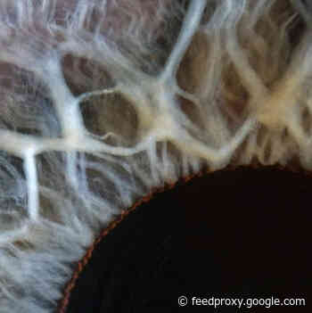 How Do Electrical Impulses In The Brain Translate Into Feelings?