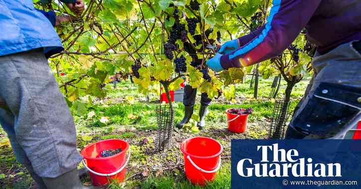 Quarantine measures may lead to shortage of fruit pickers in Britain