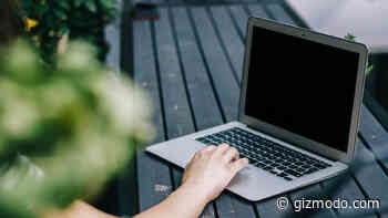 How to Set Up an Office in the Garden or Backyard to Maintain Your Sanity