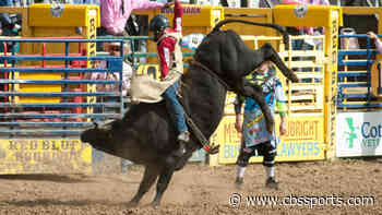 Bull riding shaping up to be one of the first professional sporting events in the U.S. to have fans