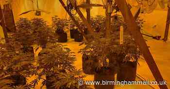 Cannabis farm busted in leafy Walsall street