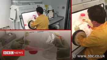 Covid-19: Inside the UK's top-secret military lab