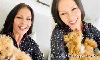 Catherine Zeta-Jones' husband Michael Douglas and their cute puppy give glimpse into New York home