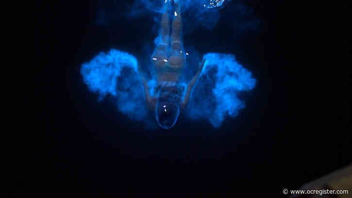 Miss the glowing, neon ocean? These 8 bioluminescence moments caught on camera will blow your mind