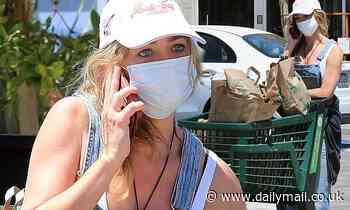 Denise Richards keeps her mask on as she makes a phone call after stocking up on groceries 