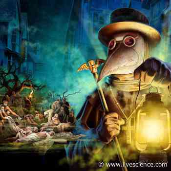 Plague doctors: Separating medical myths from facts - Livescience.com
