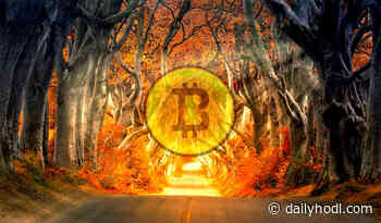 Crypto Movement Wrong About Core Bitcoin (BTC) Use Case, Says Entrepreneur Erik Voorhees - The Daily Hodl