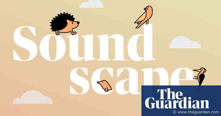 Soundscape: relax to the sounds of British wildlife