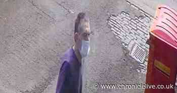 Burglar wearing face mask stole 35 dog harnesses from pet shop in Sunderland