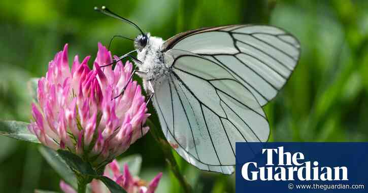 EU pledges to spend €20bn a year on boosting biodiversity