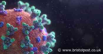 Number of deaths involving Covid-19 in UK passes 44000 - Bristol Live