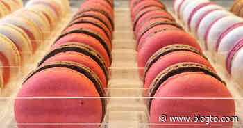 Toronto bake shop known for its macarons has shut down permanently - blogTO