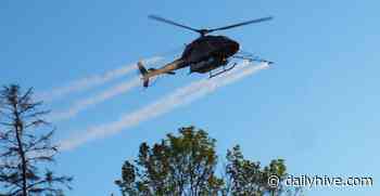 There will be aerial spraying in parts of Toronto next week | News - Daily Hive