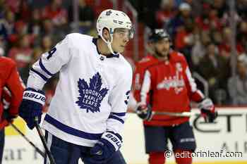 Toronto Maple Leafs: 5 Things We’re Missing Without Hockey Right Now - Editor In Leaf