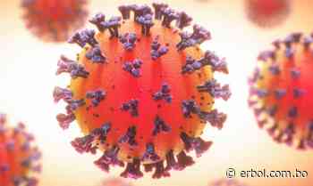 Fallece el paciente “cero” de Llallagua debido al coronavirus - Red Erbol