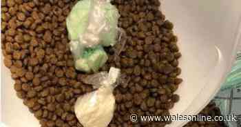Police find £15,000 of drugs hidden in dog food during house raid