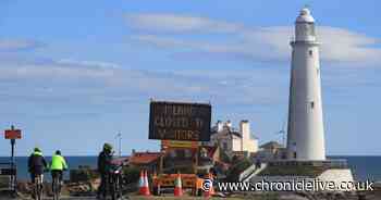 Great Big Business Survey launched to find how coronavirus is affecting UK firms