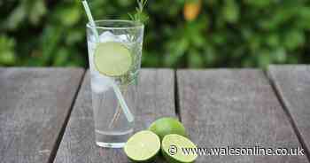 Lidl is selling ten summery tipples in new Craft Gin Festival