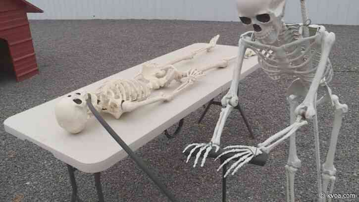 COVID-19 yard display in Utah turns heads