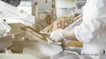 Kabinett beschließt verstärkte Kontrollen in der Fleischindustrie